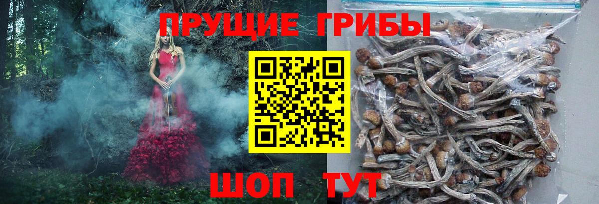 Псилоцибиновые грибы мухоморы Ангарск